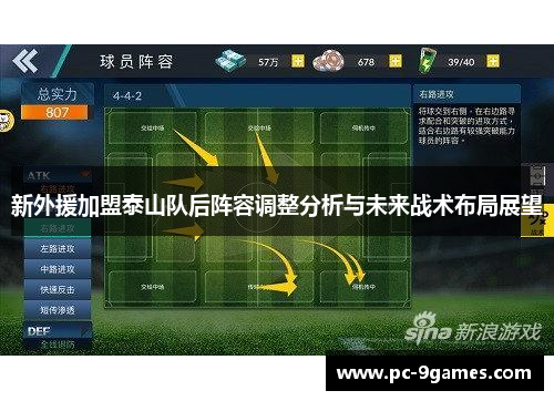 新外援加盟泰山队后阵容调整分析与未来战术布局展望