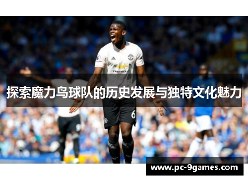探索魔力鸟球队的历史发展与独特文化魅力